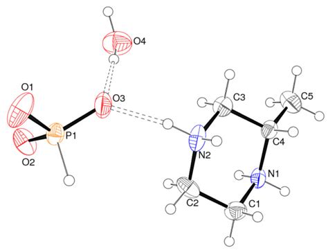 Supramolecular Hydrogen-Bond Motifs in Chiral and Racemic Molecular ...