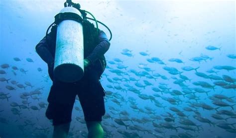 Explore The Breathtaking Underwater Sights With A Scuba-Dive At Netrani ...