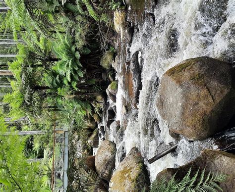 TOORONGO FALLS (2026) All You Need to Know BEFORE Going (with Photos)