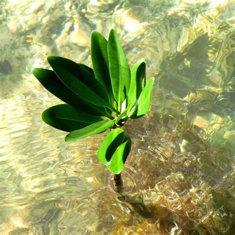 2025North Trail Park游玩攻略,North Trail Park)是一个受欢...【去哪儿攻略】