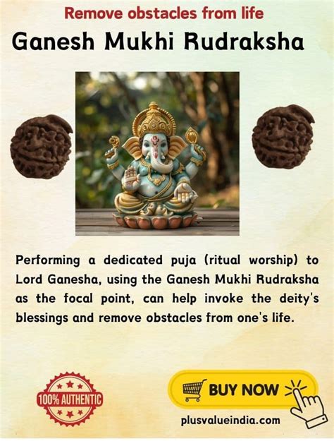 Buy Ganesh Mukhi Rudraksha Nepal – For Success & Obstacle Removal ...