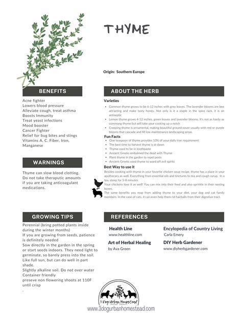 Herb Collection: Thyme — 3 Dog Urban Homestead | Medicinal herbs garden ...