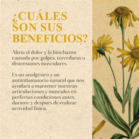 ¿Qué es la árnica y para qué sirve? ?? – Farmacia Bacardí