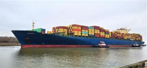 MSC RIDA VIII, Container Ship - Details and current position - IMO ...