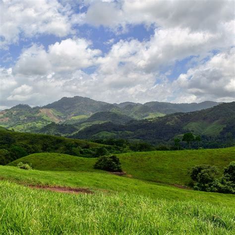FINCA EL CISNE (2026) All You Need to Know BEFORE You Go (with Photos ...