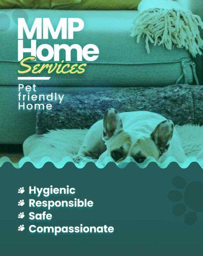 Dog Hostel & Pet Boarding Service in Jaipur | Mr n Mrs Pet