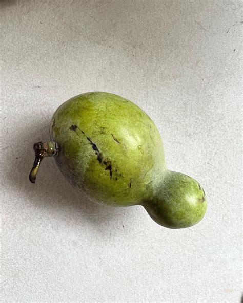 Fresh Paw Paw Fruit | Pacific Wild Pick