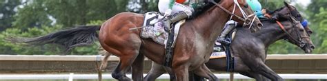 Haskell Stakes | BRISnet.com Trusted Data & More