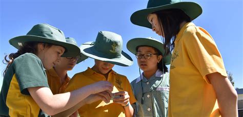 School Team 的图像结果