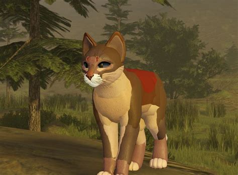 Image result for Minecraft Morph Color