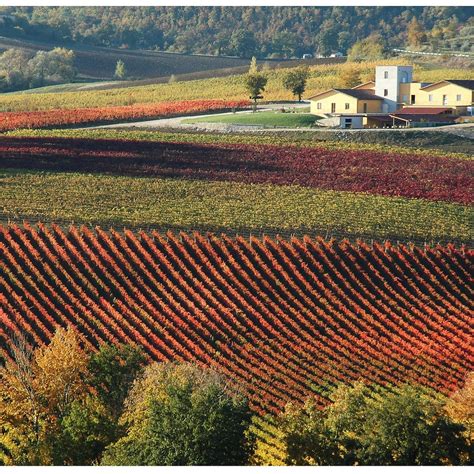 CANTINA CESARINI SARTORI (2026) All You Need to Know BEFORE You Go ...