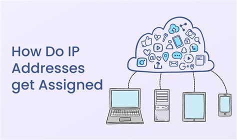 Image result for Network IP Assignment