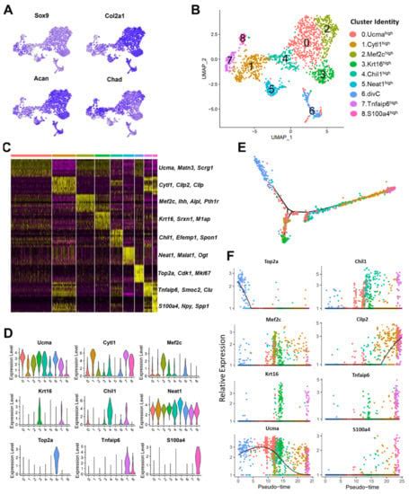 Single-Cell RNA-Seq Reveals Transcriptomic Heterogeneity and Post ...