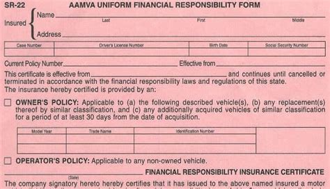Image result for SR22 Insurance Form