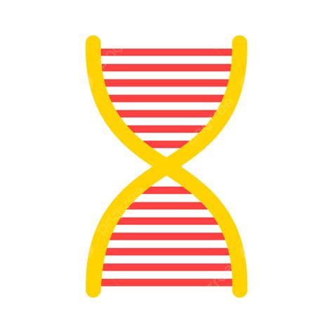Icono Plano De Adn Vector PNG , Biología, Cromosoma, Adn PNG y Vector ...