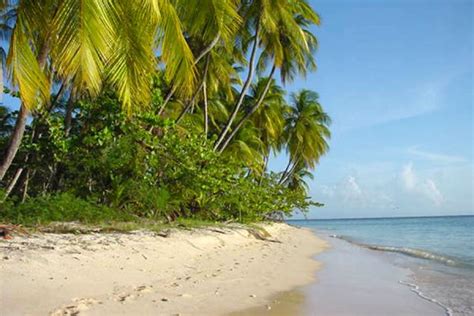 Nude Beaches Trinidad And Tabogo