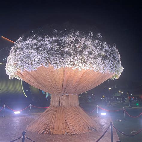 WORLD'S LARGEST BOUQUET (2025) All You MUST Know Before You Go (w/ Reviews)