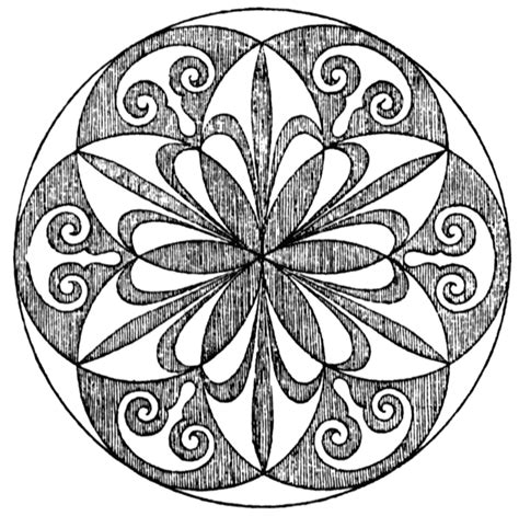 Image result for What Is a Radial Shape InDesign