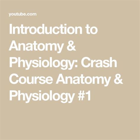 Image result for Crash Course Anatomy