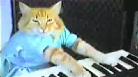 Image result for Keyboard Cat Meme