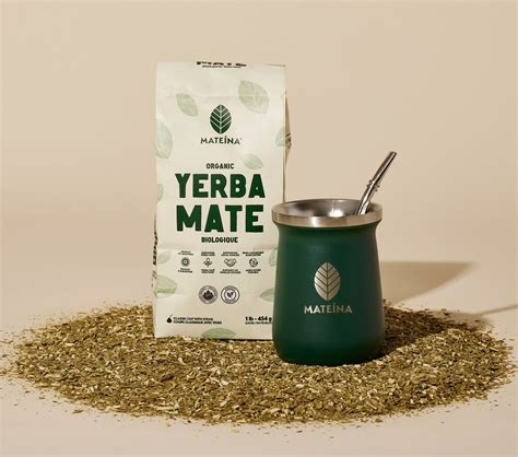 What does Yerba Mate contain: Key ingredients of this traditional beve ...