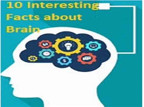 10 Unknown facts about Human Brain