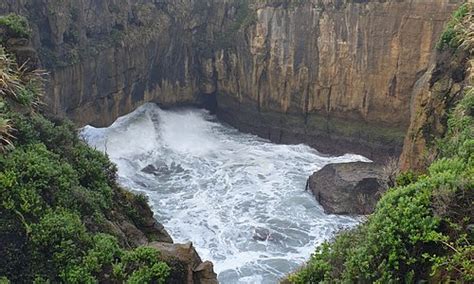 Punakaiki Tourism (2024): Best of Punakaiki, New Zealand - Tripadvisor