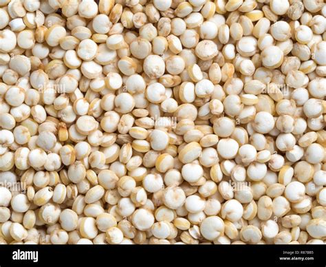 Uncooked Quinoa