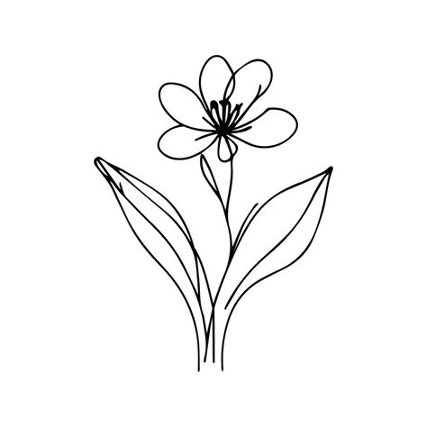 Image result for Minimalist String Drawing Flower