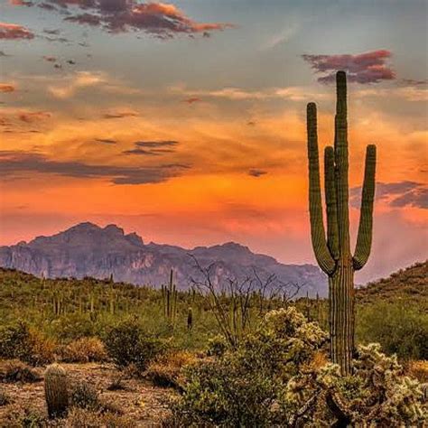 Famous States in USA 的图像结果