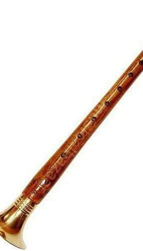 what we called this instrument - Brainly.in