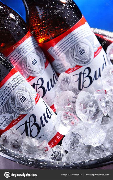 Budweiser Beer Bucket
