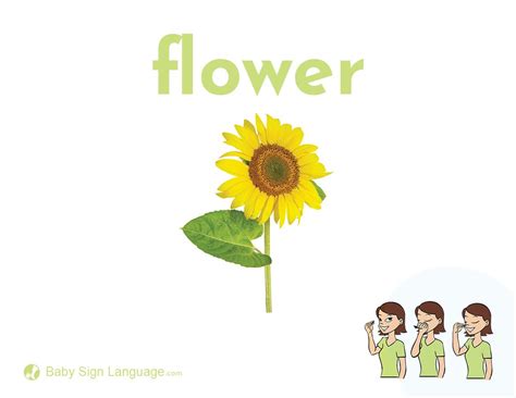 Image result for Flower Sign Language