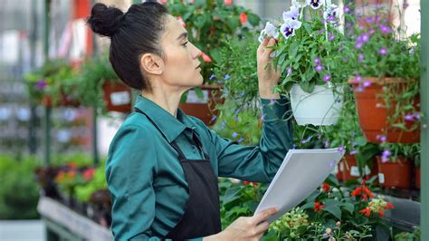 Image result for Earth Pit Testing