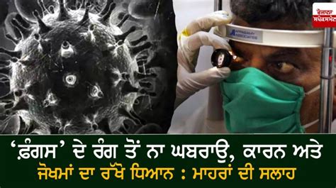 ‘ਫ਼ੰਗਸ’ ਦੇ ਰੰਗ ਤੋਂ ਨਾ ਘਬਰਾਉ, ਕਾਰਨ ਅਤੇ ਜੋਖਮਾਂ ਦਾ ਰੱਖੋ ਧਿਆਨ : ਮਾਹਰਾਂ ਦੀ ਸਲਾਹ