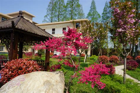 美轮美奂，花园学府——华东师范大学校园风光_第8页_华东师范大学院校资讯_考研帮（kaoyan.com）