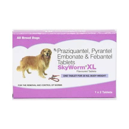 Skyec Skyworm XL Dog Deworming Tablet (pack of 2 tablets)