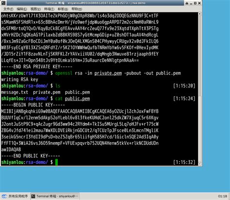 How to Pull RSA Token From EXEFile 的图像结果
