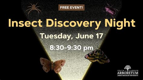 Insect Discovery Night, 780 University Blvd, Harrisonburg, VA, United ...