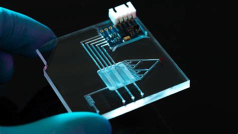 Microfluidic Chip 的图像结果