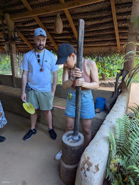 From Colombo to Sigiriya & Dambulla Day Tour - Klook India