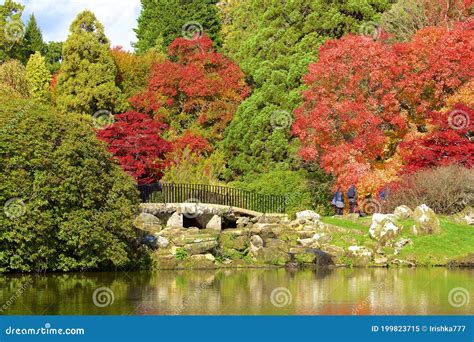 Sheffield park, UK stock image. Image of stunning, national - 199823715