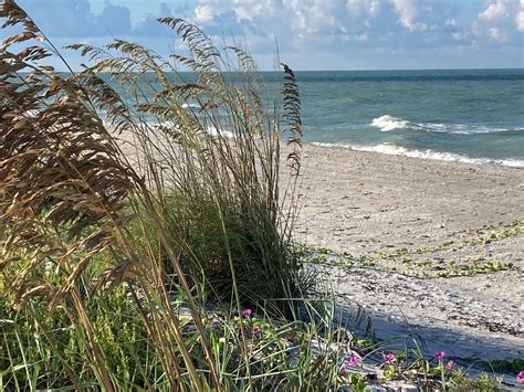 Florida-Friendly Landscaping for Barrier Islands @ Pine Island Library ...