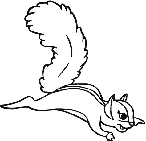 Free Printable Squirrel Coloring Pages For Kids