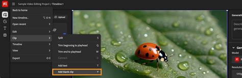 Add a blank clip | Firefly