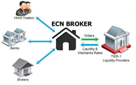 ECN Forex Brokers | ECN/STP Brokers List