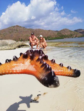 Lombok Friendly Tour & Travel (Batu Layar) - 2022 What to Know Before ...