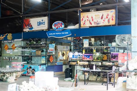 Java Tropical Fish Farm 的图像结果