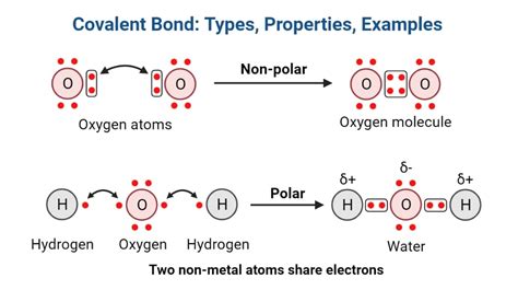 Image result for Covalent Bond Types